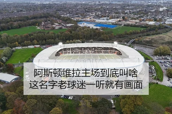 a-si-dun-wei-la-zhu-chang-dao-di-jiao-sha-zhe-ming-zi-lao-qiu-mi-yi-ting-jiu-you-hua-mian-2-318.jpg