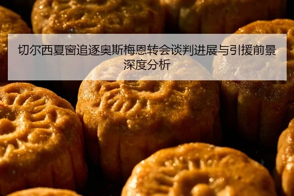 切尔西夏窗追逐奥斯梅恩转会谈判进展与引援前景深度分析
