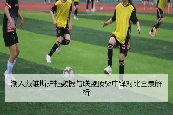 湖人戴维斯护框数据与联盟顶级中锋对比全景解析