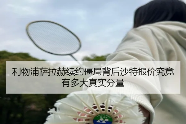 li-wu-pu-sa-la-he-xu-yue-jiang-ju-bei-hou-sha-te-bao-jia-jiu-jing-you-duo-da-zhen-shi-fen-liang-2-150.jpg